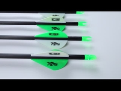 .204 암살자 사냥 화살표