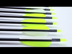 표준 크기의 6.2mm 사냥 및 목표 화살표 Blast Pro 시리즈